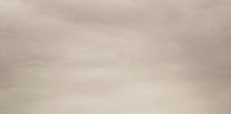 Get Free Followers On Instagram For Free: Proven Tips That Work