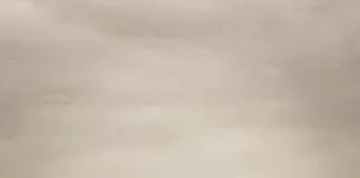 Get Free Followers On Instagram For Free: Proven Tips That Work