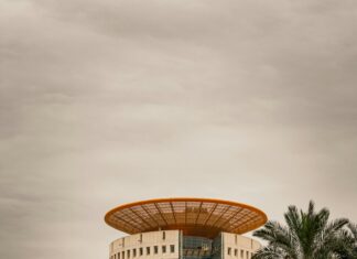 Get Free Followers On Instagram For Free: Proven Tips That Work