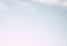 Who Doesn’t Follow Me Back On Instagram Without App? Find Out!