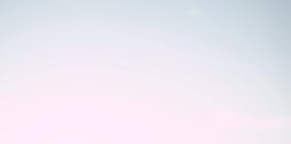 Follow And Follow Back Instagram Tips: Boost Your Engagement Fast