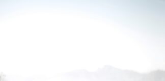 Get Followers In Instagram For Free: Proven Tips To Boost Your Reach