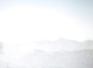 Get Followers In Instagram For Free: Proven Tips To Boost Your Reach