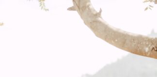 Why Can’t I Follow People On Instagram? Discover Powerful Fixes