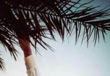 Follow Us On Instagram To Unlock Exclusive Tips And Secrets