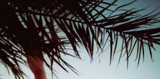 Follow Us On Instagram To Unlock Exclusive Tips And Secrets