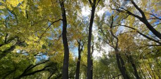 Who Has The Most Following On Instagram? Discover The Top Star!