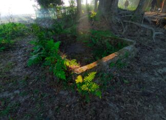 Instagram Bot Followers: Are They Safe And Effective For Growth?