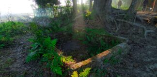 Buy Instagram Followers Twicsy.com: Unlock Explosive Growth Secrets Today