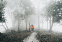 Who Is The Person With The Most Instagram Followers? Discover Now!