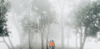 Who Is The Person With The Most Instagram Followers? Discover Now!