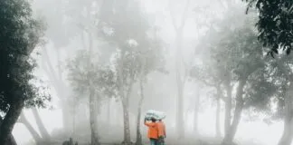 Person With Most Instagram Followers Revealed: Who Tops The List?