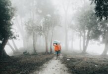 Instagram Who Doesn’t Follow Me Back: Discover Secrets To Boost Your Followers