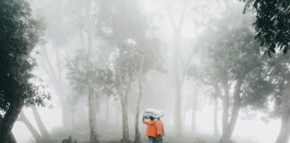 Follow Follow Back Instagram Tricks To Boost Your Followers Fast