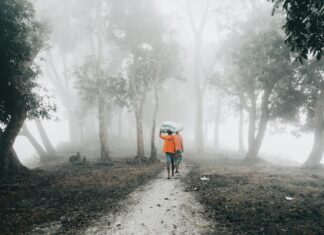 Instagram Who Doesn’t Follow Me Back: Discover Secrets To Boost Your Followers