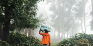 How To Get Free Instagram Followers Fast: Proven Tips That Work