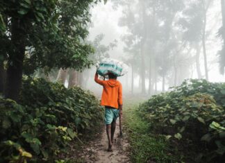 How To Get Free Instagram Followers Fast: Proven Tips That Work