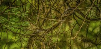 Instagram Following List Order: Why It Matters And How To Master It