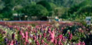 How To Get Followers Free Instagram: Proven Tips To Boost Growth